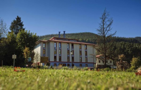 Hotel Balneario Areatza Nº 01224